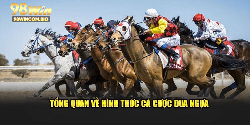 Định nghĩa cơ bản về hình thức cá cược đua ngựa
